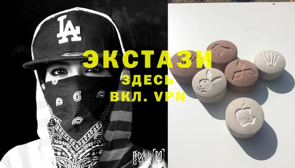 ешки Дмитриев