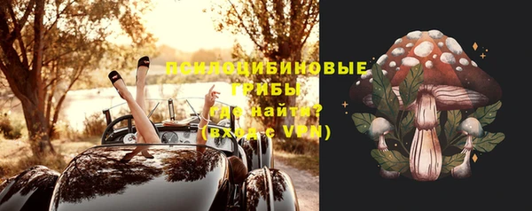каннабис Дмитров