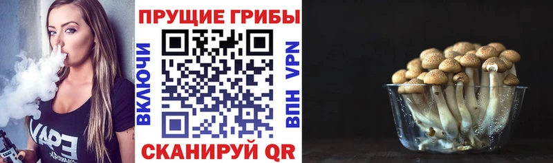 Галлюциногенные грибы Cubensis  наркотики  Сегежа 
